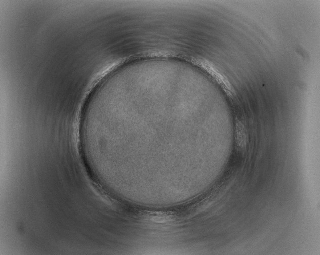 X0000116860486201001051428