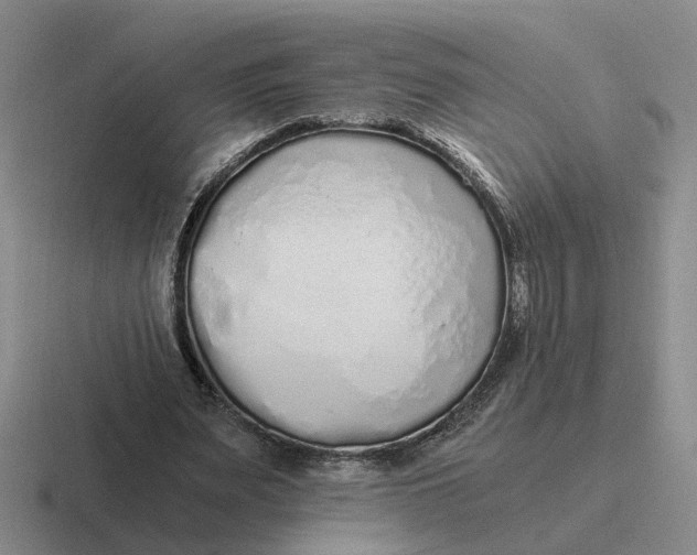 X0000116860487201001051428