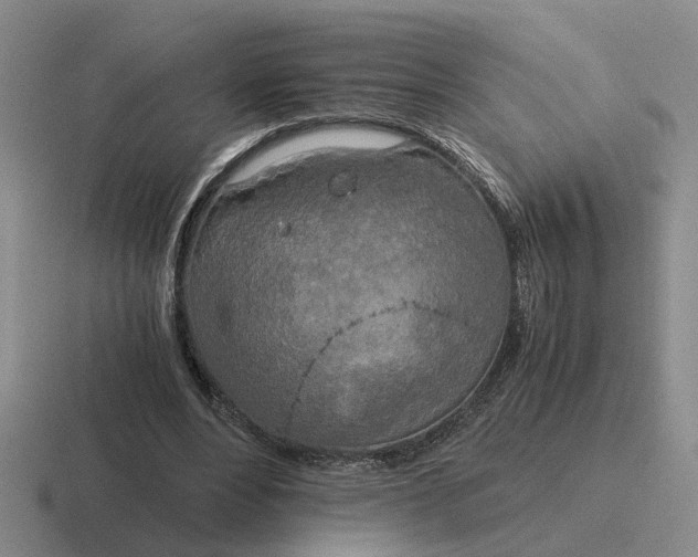 X0000116860488201001051428