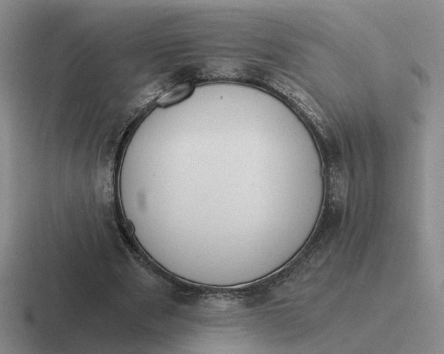 X0000116860489201001051428