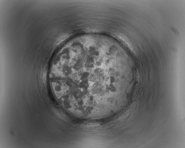 X0000116860491201001051427