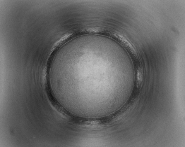 X0000116860492201001051427