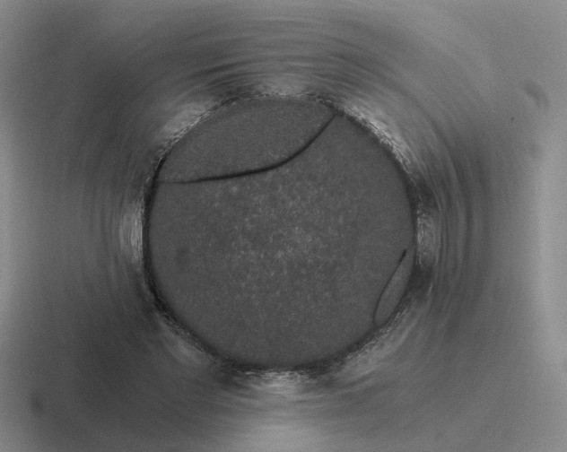 X0000116860493201001051427