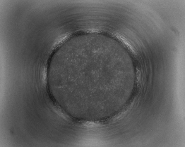 X0000116860494201001051427