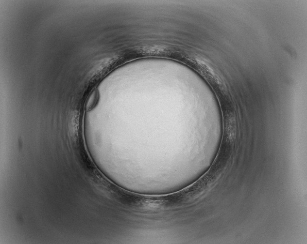 X0000116860495201001051427