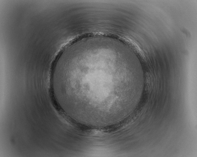 X0000116860496201001051427