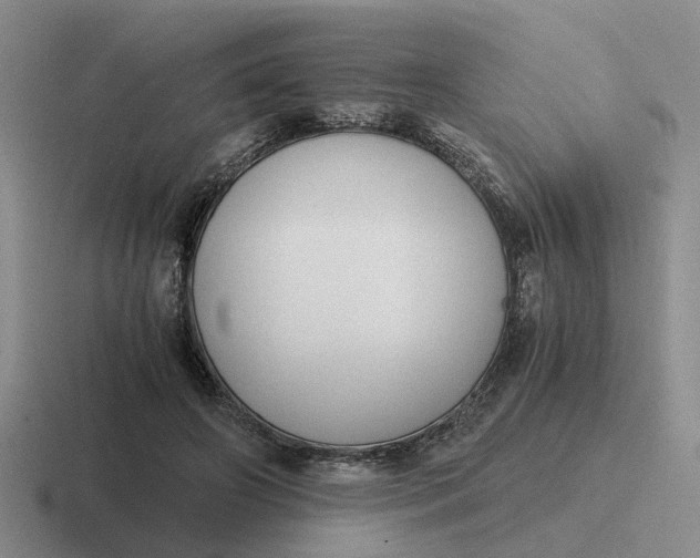 X0000116860498201001051427