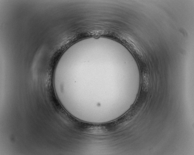 X0000116860499201001051427