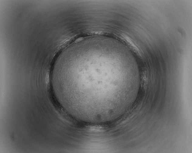 X0000116860500201001051427