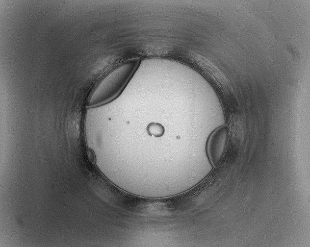 X0000116860501201001051427