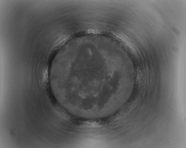 X0000116860502201001051427