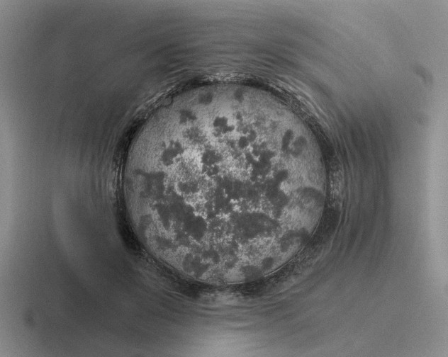 X0000116860503201001051427