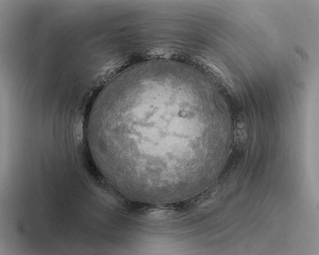 X0000116860504201001051427