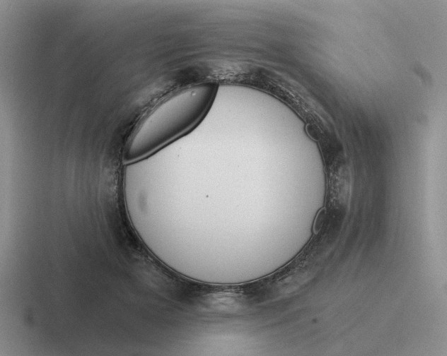 X0000116860505201001051427