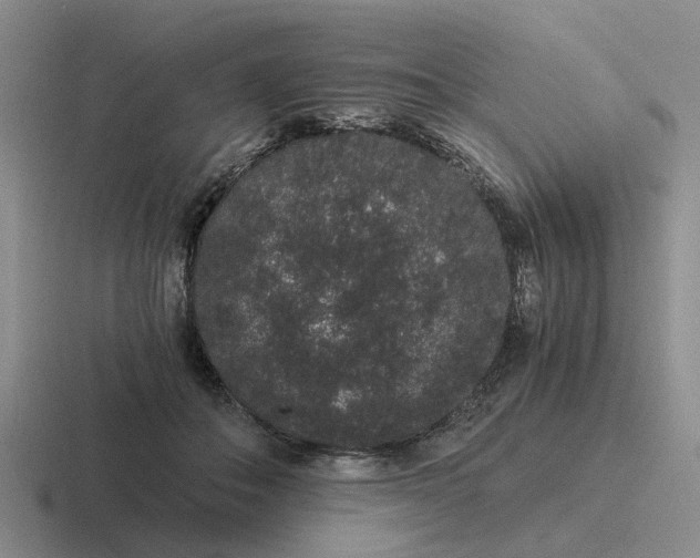 X0000116860506201001051427