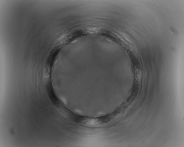 X0000116860507201001051427