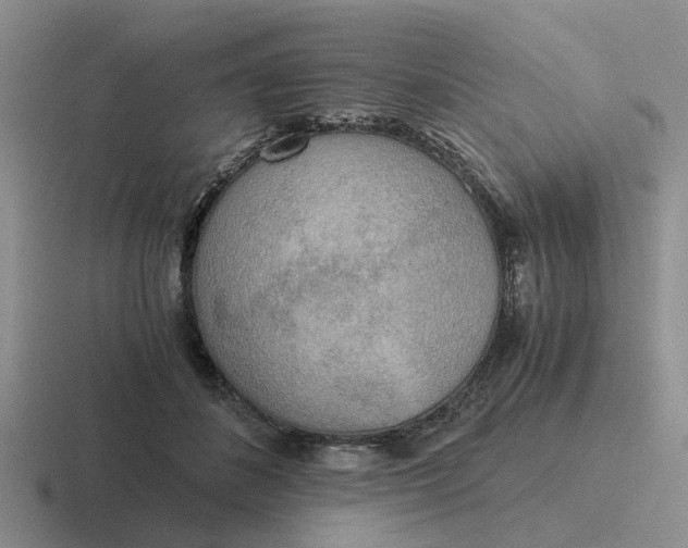 X0000116860508201001051427