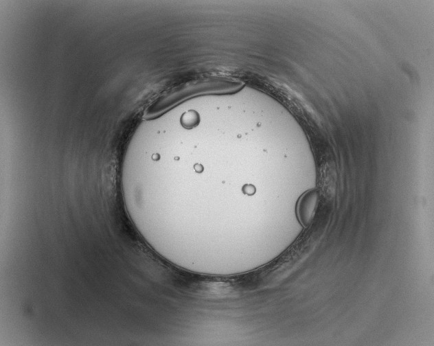 X0000116860509201001051427