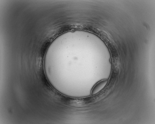 X0000116860511201001051427