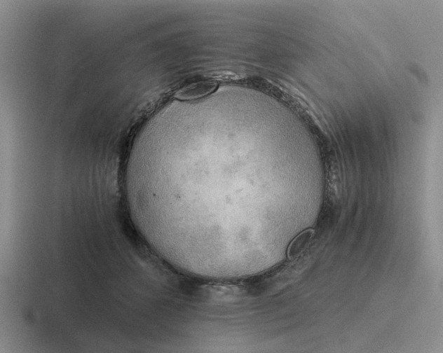 X0000116860512201001051427