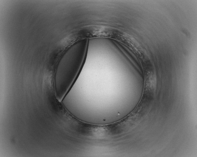 X0000116860513201001051427