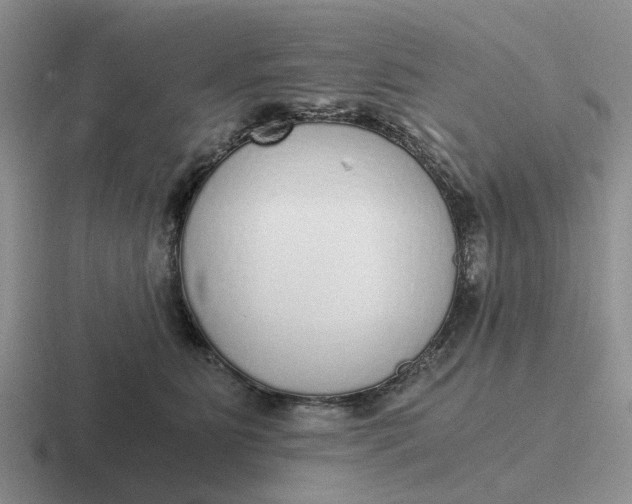 X0000116860515201001051427