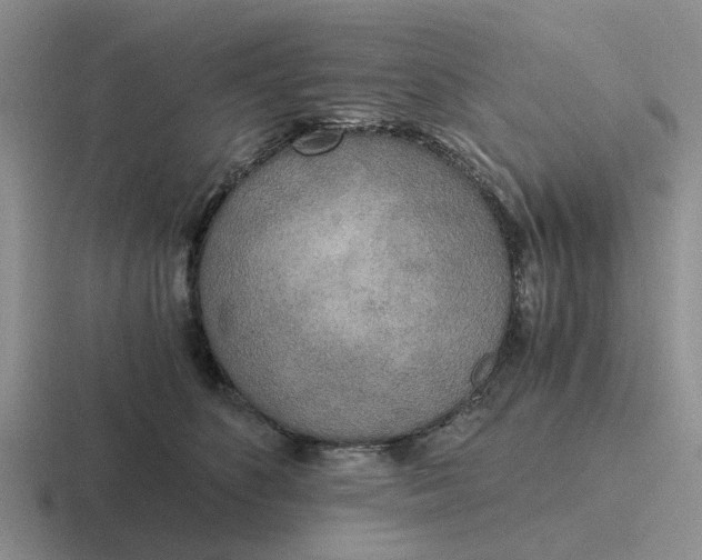 X0000116860516201001051427