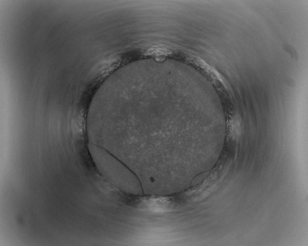 X0000116860517201001051427