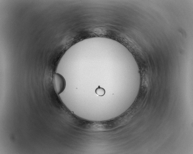 X0000116860518201001051427