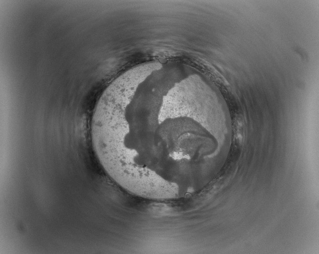 X0000116860519201001051427