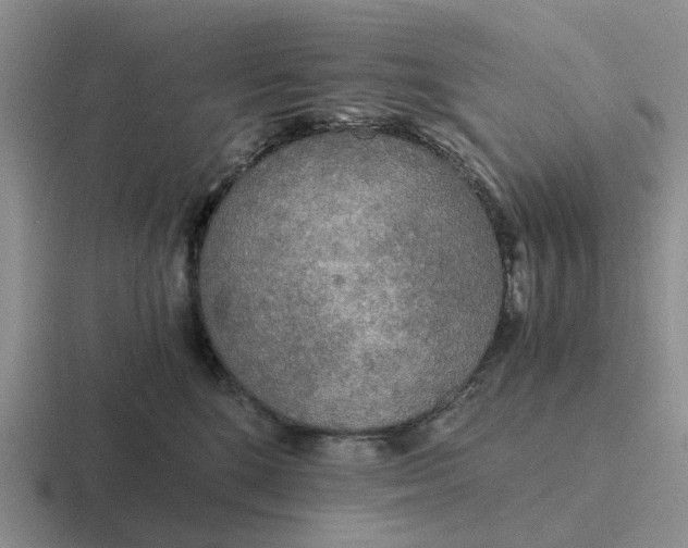 X0000116860520201001051427