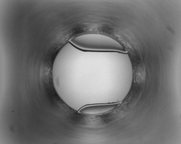 X0000116860521201001051427