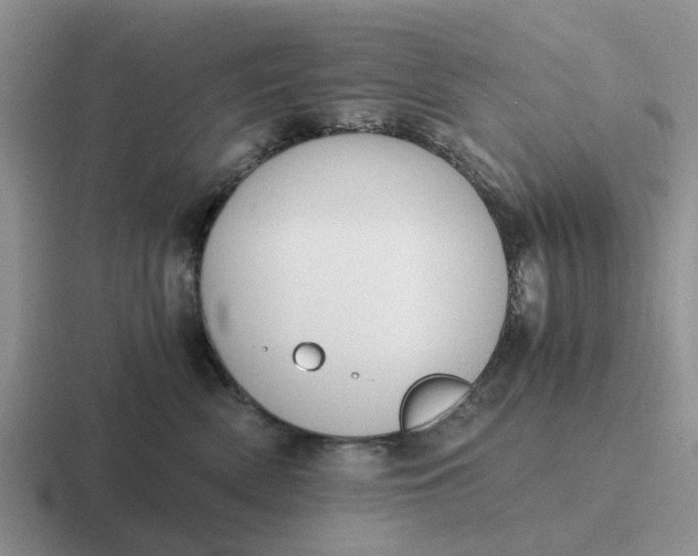 X0000116860522201001051427