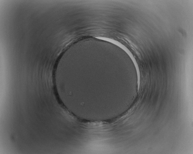 X0000116860524201001051427