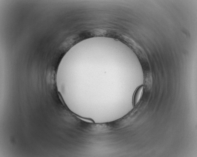 X0000116860525201001051427