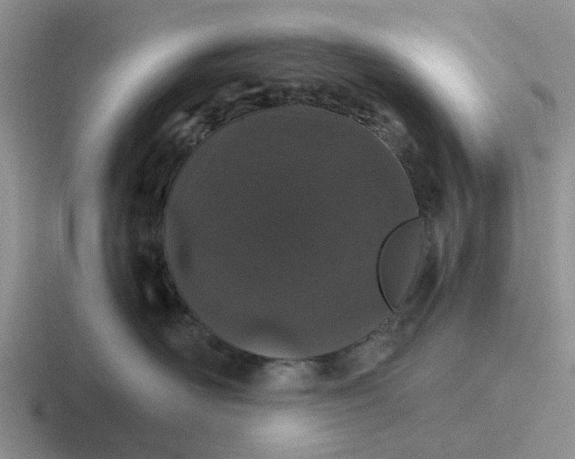 X0000116860526201001051427