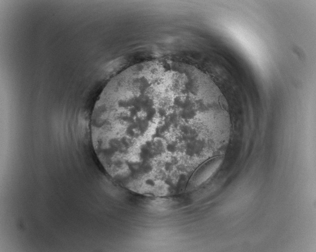 X0000116860527201001051427