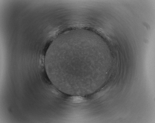 X0000116860528201001051427