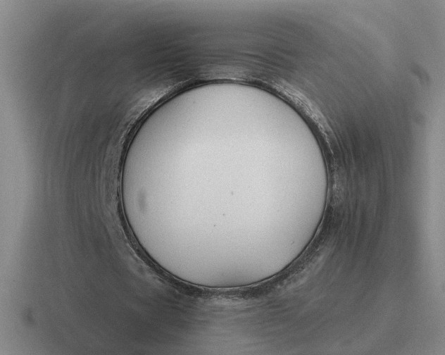 X0000116860529201001051426