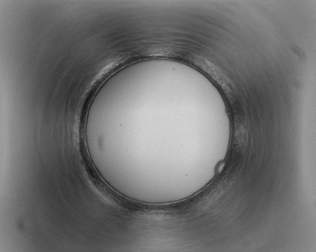 X0000116860530201001051426