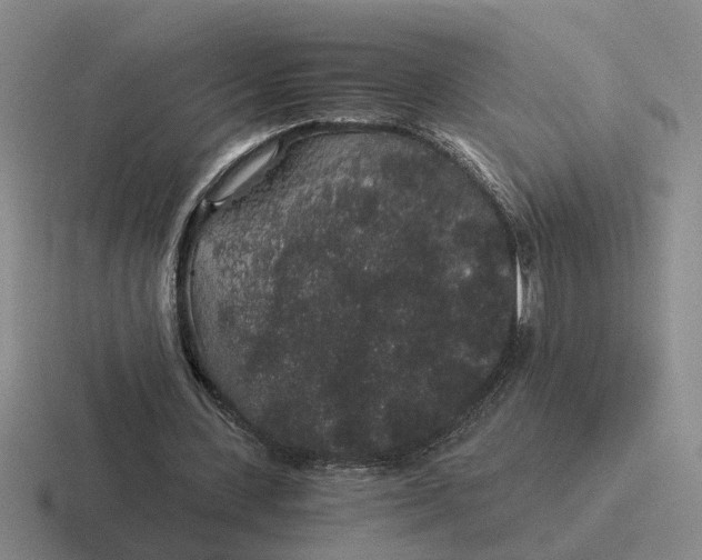 X0000116860531201001051426