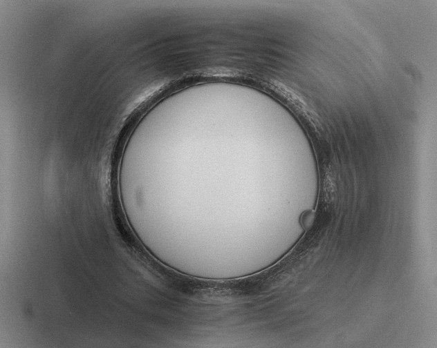 X0000116860535201001051426