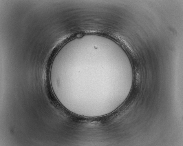 X0000116860539201001051427