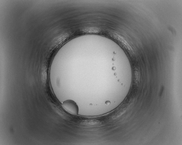 X0000116860541201001051427