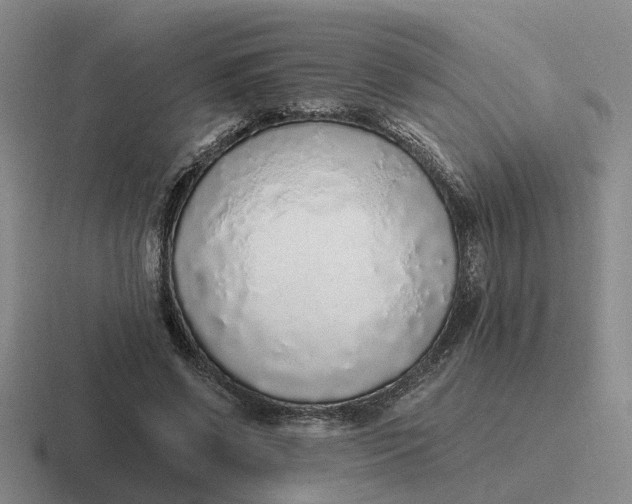 X0000116860542201001051427