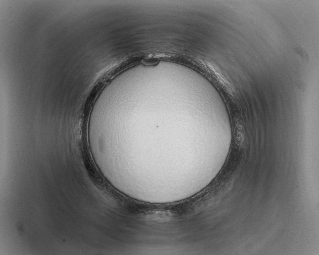 X0000116860543201001051427