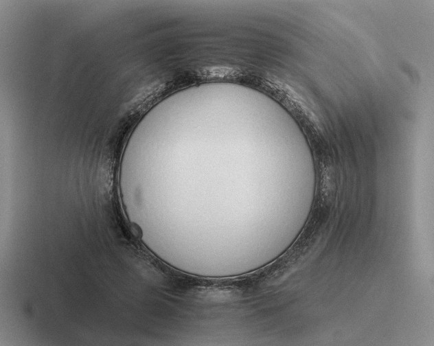 X0000116860545201001051427