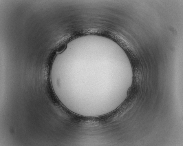 X0000116860546201001051427