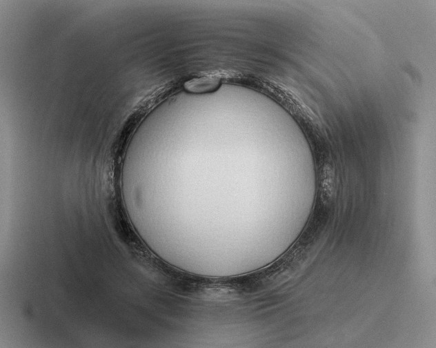 X0000116860547201001051427