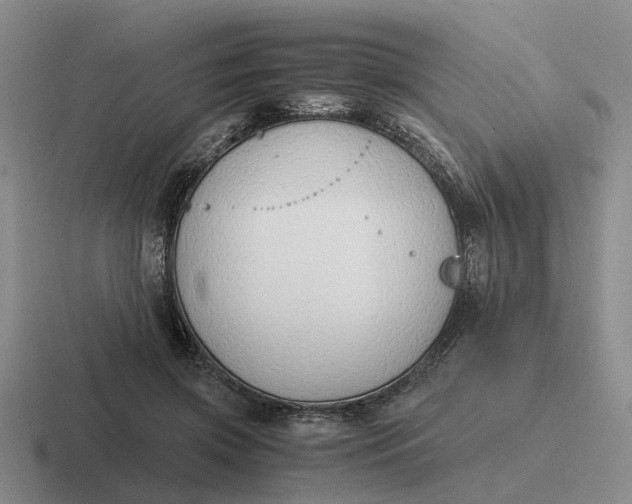 X0000116860549201001051427